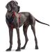 Buy HUNTER Neoprene Dog Harness - Adjustable Nylon & Padded - Red/Black L 72-91 cm | International Shipping - Buy Online on GoSupps.com