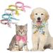 Taippan Cooling Neckerchief Set - 9 Summer Scarves & Headbands for Ultimate Comfort - Reusable & Soothing for Indoor & Outdoor Sports - Buy Online on GoSupps.com