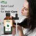 Buy Pure Betel Leaf Oil (Piper Betle) - 30ml | Natural Essential Oil for Skincare Hair Care Aromatherapy & Diffusers - International Shipping - Buy Online on GoSupps.com