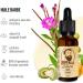 Buy Imperial Beard Oil - Premium Grooming for Beards | Global Shipping Available - Buy Online on GoSupps.com