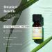 Citronella Essential Oil by Aromafume | 100% Pure and Natural | Premium, Undiluted Therapeutic Grade Essential Oil | Organic Citronella Oil for Aromatherapy Diffuser | 10ml / 0.33 fl oz - Buy Online on GoSupps.com