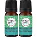 Wild Essentials Motion Ease 100% Pure Essential Oil Synergy Blend 2 Pack - 10ml Formula for Motion Sickness Nausea Upset Stomach Vertigo Dizzy seasick carsick. Made and Bottled in The USA Motion Ease 0.34 Fl Oz (Pack of 2)