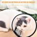 Phcozy Soft Elizabethan Collar for Pets | Protective Neckkrause for Kittens & Puppies | Adjustable XS (18-22cm) (International Shipping) - Buy Online on GoSupps.com