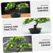 Ciieeo 2pcs Artificial Fruit Tree Faux Potted Plants Flower Vases Decorative Lemon Tree Artificial Fruit Potted Faux Fruit Tree Bonsai Fake Lemon Bonsai Linden Tree Pvc Desktop Office As Shown 1 30X27X16CM - Buy Online on GoSupps.com