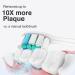 Replacement Toothbrush Heads for Philips Sonicare C2 C1 4100 C3 6 Pack Compatible Electric Brush Heads (2 White + 4 Black - Buy Online on GoSupps.com