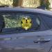 Buy Leniutor Kids on Board Koala Suction Cup Car Sign - Cute PVC Safety Warning for Baby Rear Side Windows (Yellow) - Buy Online on GoSupps.com