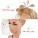 TOVINANNA 1pc Mesh Head Flower Woman Headwear Feather Hair Band Hair Supply Wedding Headwear Feather Hairpin Hair Accessory Women Headdress Female Party Headdress Bridal Headdress One Size Golden - Buy Online on GoSupps.com