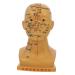 Healvian acupuncture point model Models Medical head acupuncture model Medical head model Head-acupuncture point model human body scalp needle model head PVC as shown 22x12x8cm
