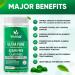 VVNATURALS Sugar-Free Chlorella Spirulina Seamoss Gummy - Immune, Detox & Joint Support | Keto-Friendly Alkaline Supplement for Women & Men | Non-GMO | Made in USA (60 Vegan Gummies) - Buy Online on GoSupps.com