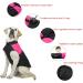Femax Waterproof Dog Coat - Warm Winter Jacket for Small to Large Dogs | Padded Puppy Vest for Cold Weather | Pink (Chest 42cm Back 35cm) - Buy Online on GoSupps.com