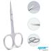 Nail Scissors Professional Cuticle Scissors Extra Strong Straight Curved Manicure Nail Art Scissors (CS-02) - Buy Online on GoSupps.com