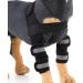 Reflective Dog Shoulder Brace Front Leg Brace Canine Elbow Protector Helps Wounds Healing Prevents Injuries Sprains(L) - Buy Online on GoSupps.com