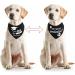 Whaline Graduation Dog Bandana 2 Pack - Reversible Triangle Bibs for Dogs & Cats | Adjustable & Washable Pet Kerchief Scarf for Everyday Wear & Parties - Buy Online on GoSupps.com