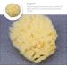 Yardwe Body Wash Scrubber Esponja para Ba arse Bath Scrubber for Body Cleaning Scrubber Skin Scrubber Bathroom Shower Ball Shower Supplies Bath Ball Baby Sponge Take a Bath Accessories - Buy Online on GoSupps.com