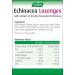 A.Vogel Echinacea Lozenges | Extract of Freshly Harvested Echinacea | Blend of Other Herbs | Suitable for Vegetarians | 12 Packs of 30g (360g) 30 g (Pack of 12) - Buy Online on GoSupps.com