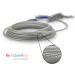 Buy Petest 25ft Reflective Traction Rope for Large Dogs - Durable Buffer Spring Up to 90lbs - Blue/Silver - International Shipping Available - Buy Online on GoSupps.com
