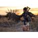 Elimishield HUNT Scent Elimination Field Spray - Scent Free Formula - Buy Online on GoSupps.com