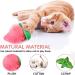 12Pcs Cat Catnip Toys AZOFFYIU Catnip Toys for Cats cat Toys for Indoor Cats Cat nip Toy Cat Toys Set Teething Chew Toy Pet Catnip Teeth Grinding Chew Toys - Buy Online on GoSupps.com