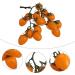 Artibetter 3pcs Fake Cherry Tomato Ornaments Mini Plants Fake Fruit Dollhouse Accessories Artificial Fruit Home Decorations Home Accessories Sculptures Home Decor Plastic Blueberry Litchi - Buy Online on GoSupps.com