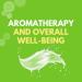 Arymar 100% Pure Eucalyptus Essential Oil - Refreshing Aromatherapy Oil 2 fl oz, Pack of 3 - Buy Online on GoSupps.com