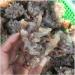 Decorative Crystal Natural Rough red Quartz Crystal Gemstone Cluster Reiki Crystal Stone Specimen Home Decor Crystal - Buy Online on GoSupps.com