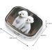 Bichon Frise Pill Case - Cute 2 Compartment Travel Organizer for Purse | Perfect Gift for Pet Lovers - Buy Online on GoSupps.com