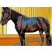 Equi-Tape Advantage 3 Light Blue Tape for Horse & Pony - Muscle Pain Relief, Joint Stability | Safe, Lightweight, Waterproof Tape with Grade Adhesive - Buy Online on GoSupps.com