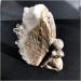 Crystal Rough for Natural Raw Amethyst Butterfly Girl Quartz Purple Crystal Cluster Elves s Specimen Hand Carved Ornaments for Gifts - Buy Online on GoSupps.com