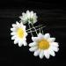 FRCOLOR Daisy Hair Clips 12Pcs - Bridal Floral Bobby Pins for Wedding Beach Party - Buy Online on GoSupps.com