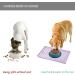 Reopet Waterproof Silicone Pet Feed Mat - Elevated Edges for Dogs & Cats - 60x40 cm (Single Pack) - Lavender Color - Buy Online on GoSupps.com