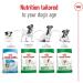 ROYAL CANIN Mini Adult 8+ - 4kg - Buy Online on GoSupps.com