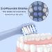 Buy SAREAL Replacement Toothbrush Heads for Colgate hum 10 Pack Compatible Smart Battery Electric Toothbrush Heads | International Shipping Available - Buy Online on GoSupps.com