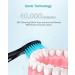 Initio Sonic Electric Toothbrush for Adults - Rechargeable with Smart Timer, 5 Modes, 3 Brush Heads, 40,000 VPM Motor - Whitening Power Toothbrush IT959 (Black) - Buy Online on GoSupps.com