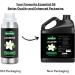 Jasmine Essential Oil 16 Ounces by Puranicals | 100% Pure & Natural | Undiluted Premium Quality | Therapeutic Grade Aromatherapy Oil - Buy Online on GoSupps.com