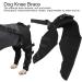 Adjustable Pet Knee Pads Pet Dog Hind Legs Protector Dog Hind Legs Protector for Recovering Injured or Diseased Legs for Dogs(M-Black)(XS) - Buy Online on GoSupps.com