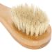 Facial Brush Face Dry Brush Exfoliating Cleaning Skin Facial Dry Brushing Scrubber with Ergonomic Wooden Handle - Buy Online on GoSupps.com