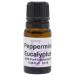 Peppermint Eucalyptus Fragrance Oil by Eclectic Lady 10 ml Premium Long Lasting Diffuser Oils Aromatherapy