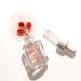 Natural Vibes Anti Aging Nirvana Flower Night Face Oil 20ml | Elixir of Youth with Vitamins A C & E - Shop Now - Buy Online on GoSupps.com