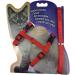 Sytaun Adjustable Red Nylon Dog Leash - Durable & Comfortable for All Breeds | International Shipping Available - Buy Online on GoSupps.com