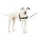 PetSafe Easy Walk Dog Harness - No Pull Dog Harness Black/Silver Medium/Large