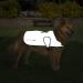 Proviz Sports 100% Reflective High-Vis Waterproof Dog Coat | Best for Safety & Comfort | International Shipping - Buy Online on GoSupps.com