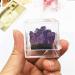 Natural Crystal Rough Specimen Natural Amethyst Specimen Crystal Stone and Crystal Quartz Crystal Cluster Box Home Desk DecorStone Stone Mineral Specimen 1sets