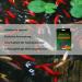 Vitalin Pond Cleaner - Biological Algae Stop & Clear Water - Safe for Fish & Plants - 25g Pack - Buy Online on GoSupps.com