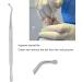 Long Handle Toenail Clippers Ergonomic Firm Toenail Scissors Sturdy Rust Proof Portable Toenail Lifter for Home Travel for Elderly for Pregnant Woman(L) - Buy Online on GoSupps.com
