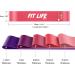 Fit Life Sport Resistance Band Set Skin-Friendly Fitness Exercise Loop Bands with 5 Resistance Levels Free Carrying Case Home Gym Yoga Pink - Buy Online on GoSupps.com