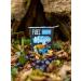 FUEL10K Blueberry Oat Muffin Pots - 8x52g - High Protein & Fiber, Vegetarian On-The-Go Breakfast - Buy Online on GoSupps.com