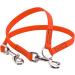 BioThane Coupling Leash for Two Dogs - 0.3m Neon Orange | Selectable Width - Durable & Waterproof - Buy Online on GoSupps.com