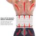 Decompression Belt for Back Pain Relief | Sciatica Traction Device | Lower Back Support - Beige - Buy Online on GoSupps.com