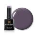 Bluesky Gel Nail Polish 10ml Cherished Purple - AW2311 Purple Soak-Off Gel Polish for 21 Day Manicure Professional Salon& Home Use Requires Curing Under UV/LED Lamp