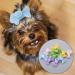 10Pcs/Set Dog Hair Bows Lovely Pets Hair Clips Bowknot Clip Hairpins Cats Dogs Hair Accessories Pet Grooming Products for Puppies Cats and Other Small Pets - Buy Online on GoSupps.com